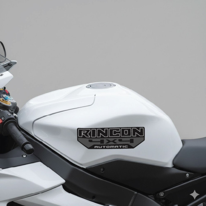 Honda Fourtrax Rincon TRX680 ATV Stickers – Decals (2-Pack)