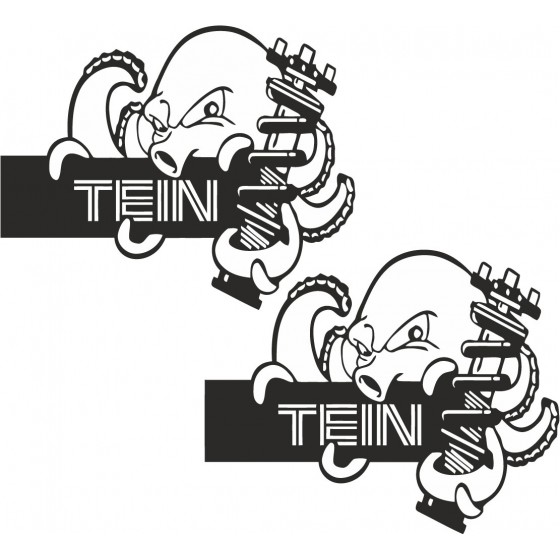 2x Tein Style 2 Stickers...