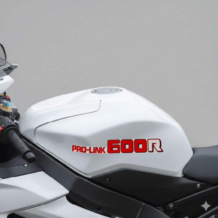 Honda XR600R Pro Link Stickers – Enduro Desert Replica Decals (2-Pack)