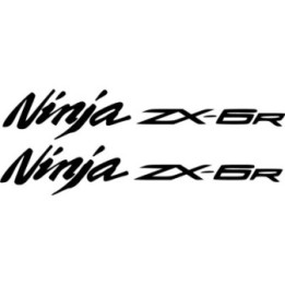 Kawasaki Zx 6r Ninja Die Cut Stickers Decals - DecalsHouse