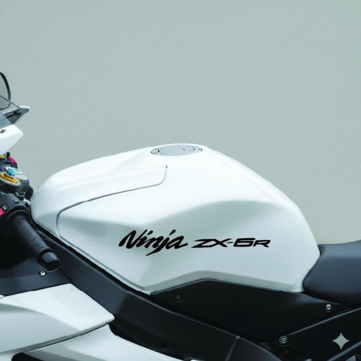 Kawasaki Zx 6r Ninja Die Cut Stickers Decals - DecalsHouse