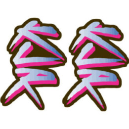 Kawasaki KLR Stickers – KLR 250 KLR 650 Dual Sport Adventure Decals (2-Pack)