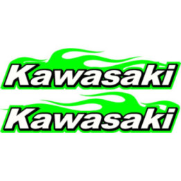 Kawasaki Green Flames Stickers – Ninja Z Custom Decals (2-Pack)