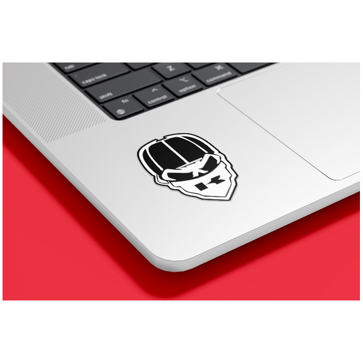 Kawasaki Logo Gang Stickers Decals - DecalsHouse