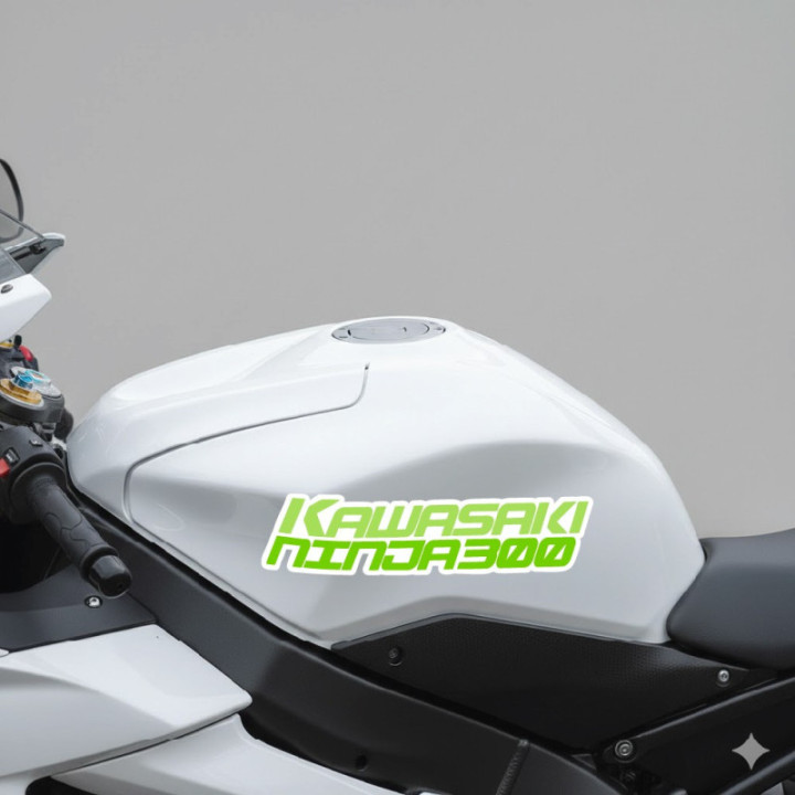 Kawasaki Ninja 300 Stickers Decals - DecalsHouse