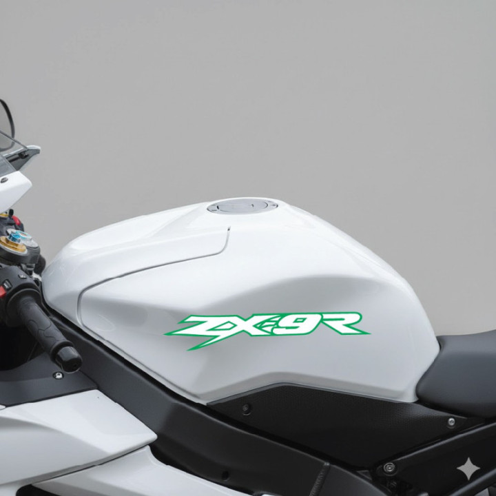 Kawasaki Ninja Zx 9r 1 Stickers Decals - DecalsHouse
