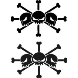 One Piece Blackbeard Stickers – Jolly Roger Decals (2-Pack)