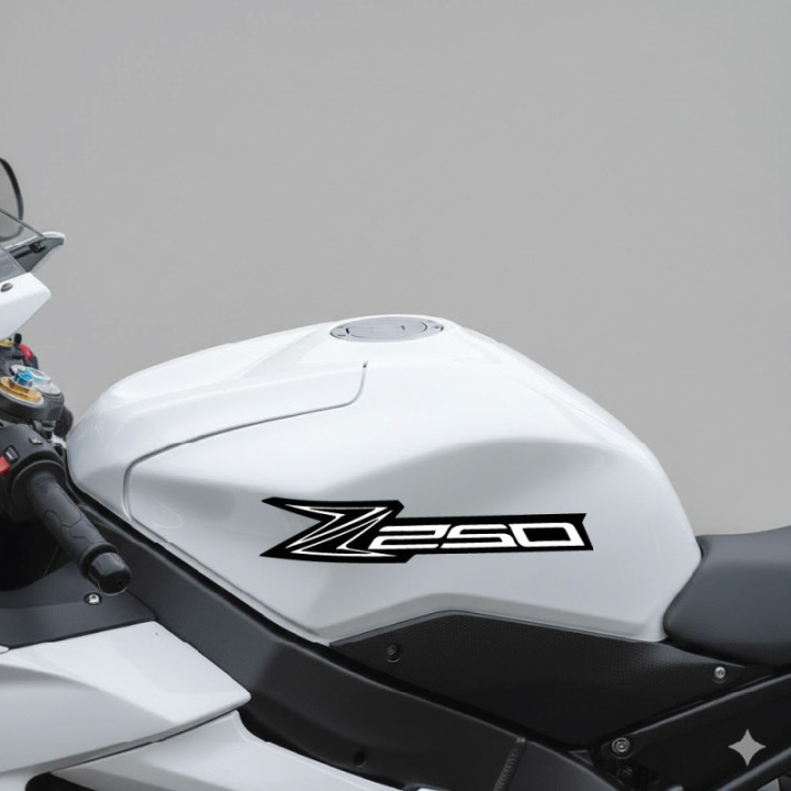Kawasaki Z 250 Stickers Decals - DecalsHouse