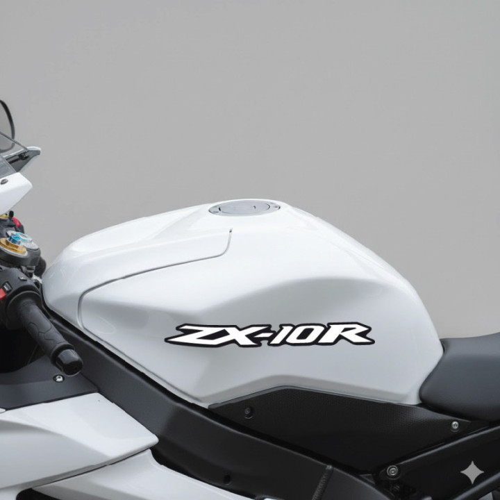 Kawasaki Zx 10r Style 41 Stickers Decals - DecalsHouse