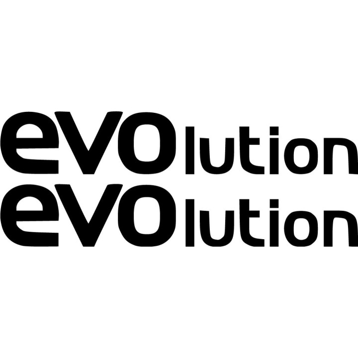 Askoll Evolution Die Cut Lettering Stickers Decals - DecalsHouse