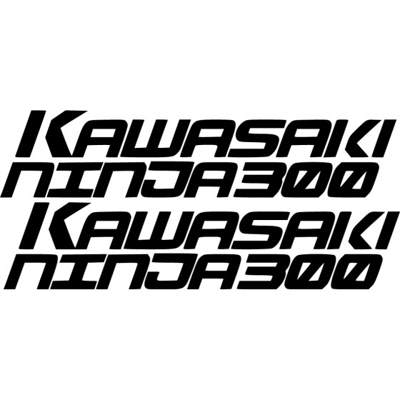 Kawasaki Ninja 300 Die Cut...