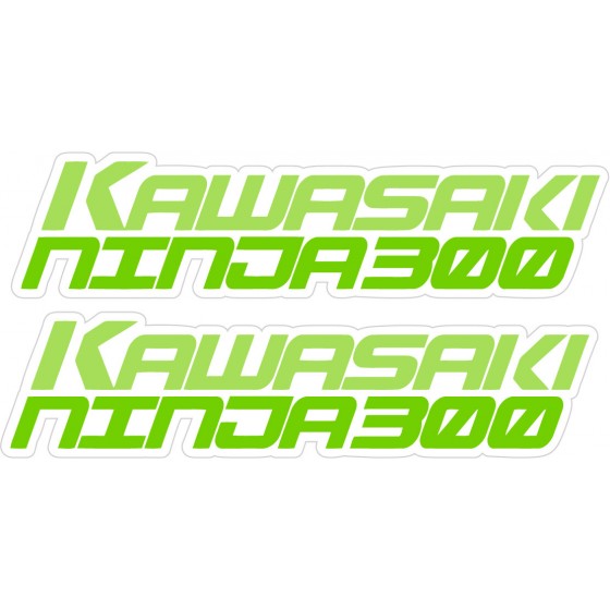 Kawasaki Ninja 300 Stickers...