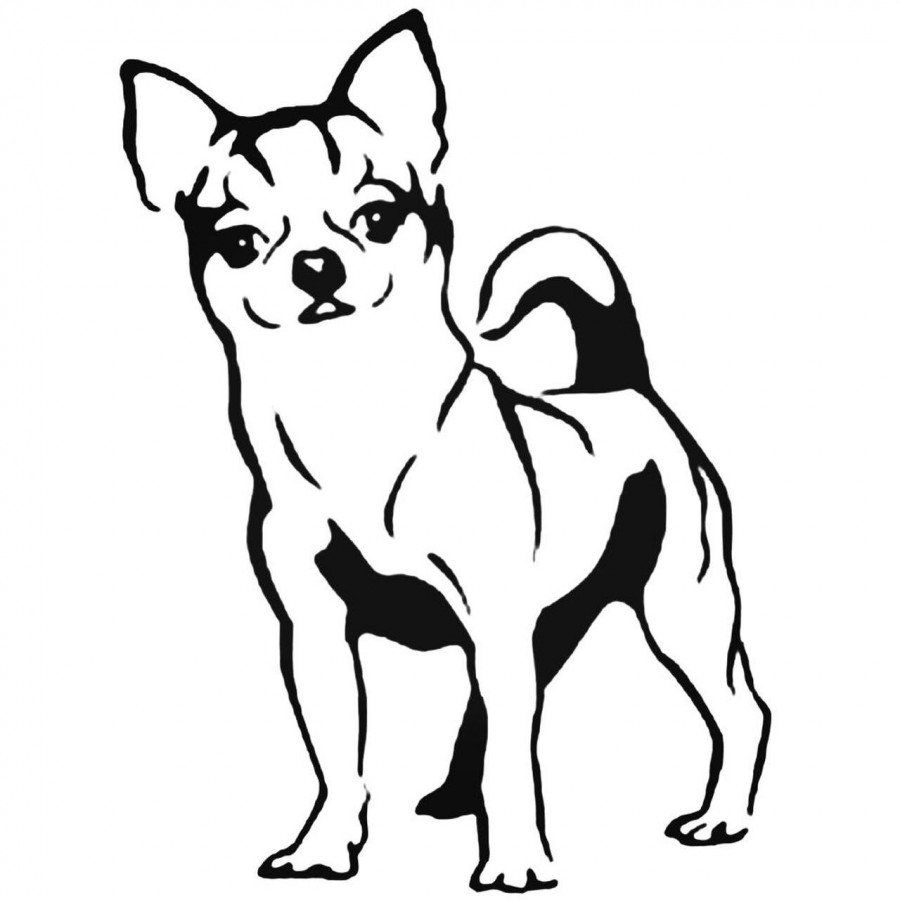 Buy Chihuahua Dog Vinyl Decal Sticker Online