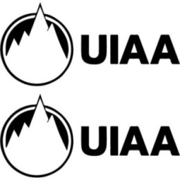 Buy Uiaa Decal Sticker Online