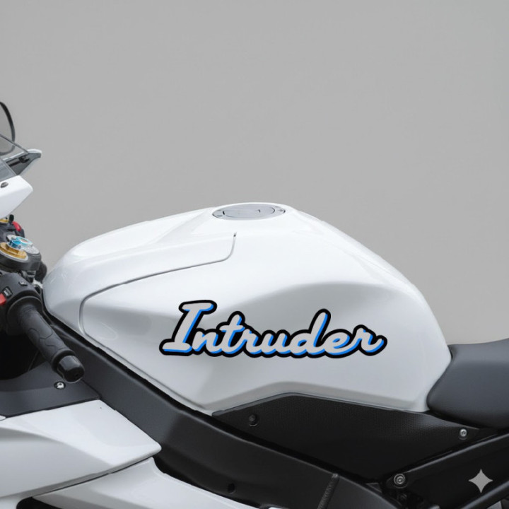 Suzuki Intruder Style 2 Stickers Decals - DecalsHouse
