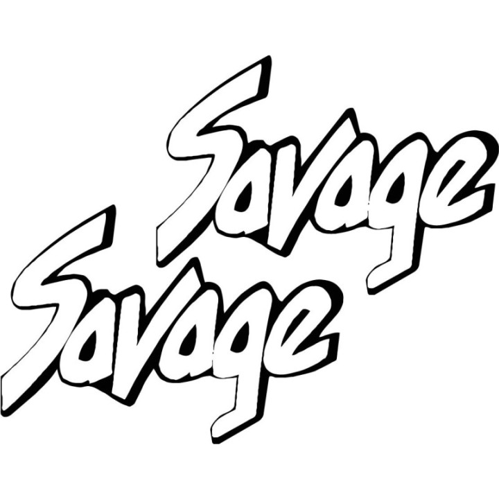 Suzuki Ls 650 Savage Stickers Decals - DecalsHouse