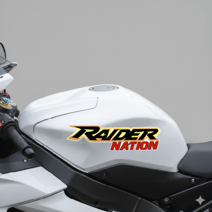 Suzuki Raider Stickers Decals - DecalsHouse