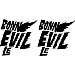 Triumph Bonneville Stickers – T100 T120 Thruxton Decals (2-Pack)