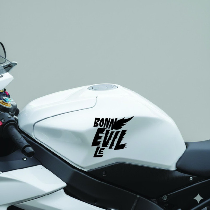 Triumph Bonneville Stickers – T100 T120 Thruxton Decals (2-Pack)