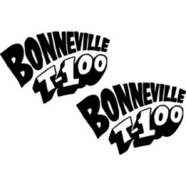 Triumph Bonneville T100 Die Cut Style 3 Stickers Decals - DecalsHouse