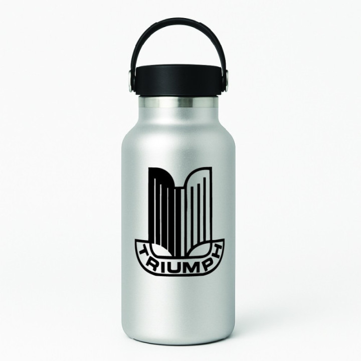 Triumph Logo Die Cut Style 2 Stickers Decals - DecalsHouse