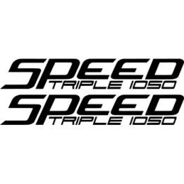 Triumph Speed Triple 1050 Die Cut Style 4 Stickers Decals - DecalsHouse