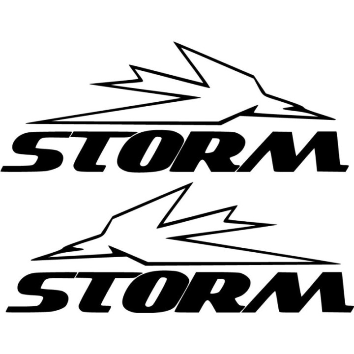 Triumph Thunderbird Storm Die Cut Stickers Decals - DecalsHouse