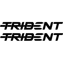 Triumph Trident 660 Naked Bike Stickers – Motorcycle Decals (2-Pack)