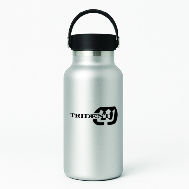 Triumph Trident Die Cut Style 2 Stickers Decals - DecalsHouse