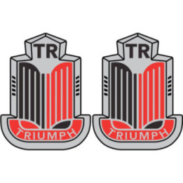 Triumph Logo Style 13 Stickers Decals - DecalsHouse