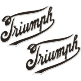 Triumph Logo Style 24 Stickers Decals - DecalsHouse