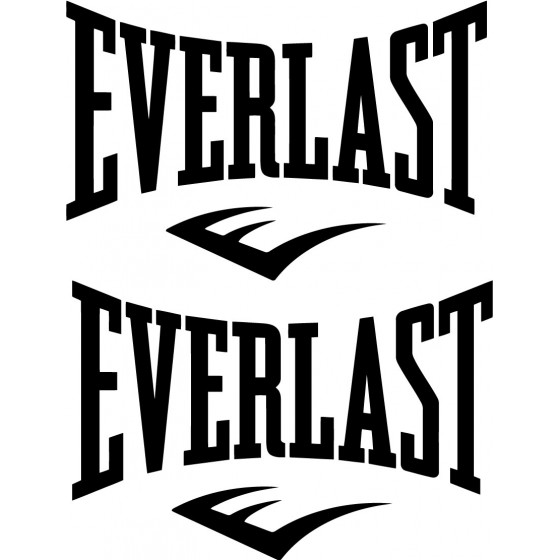 2x Everlast Sticker Decal...