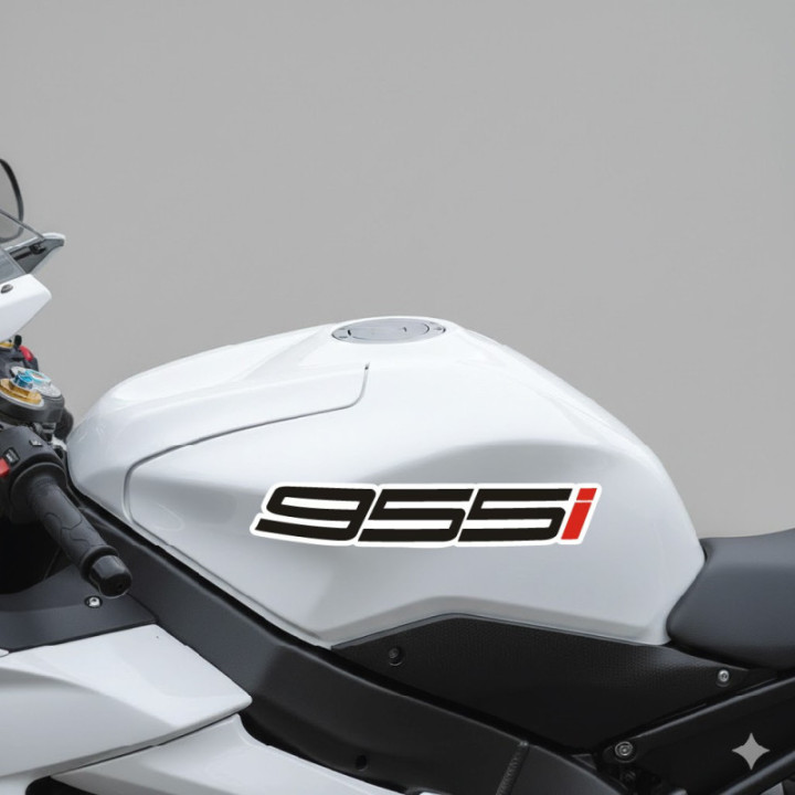 Triumph Tiger 955i Numbers Stickers Decals - DecalsHouse