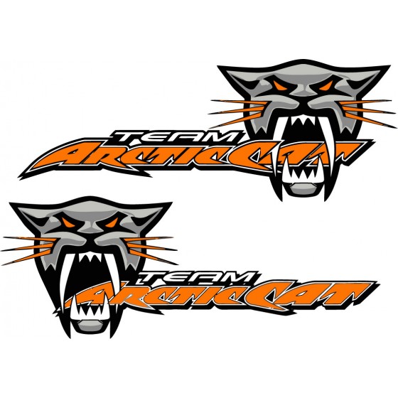 2x Arctic Cat Logo Orange...