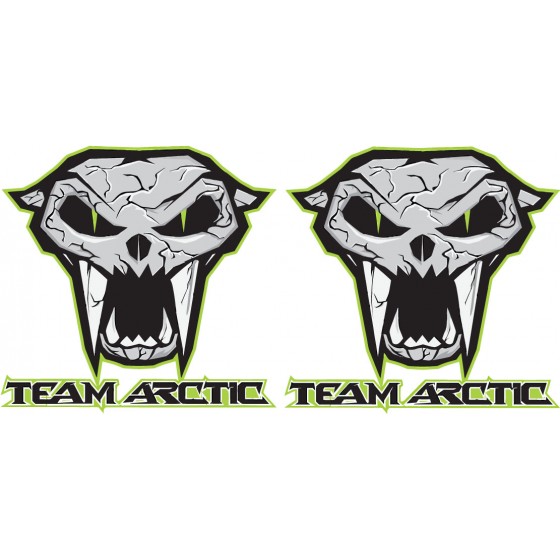 Arctic Cat Team Logo...