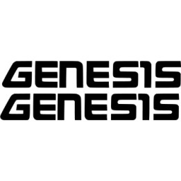 Yamaha Genesis Stickers – FZ1 FZS1000 Fazer Engine Decals (2-Pack)
