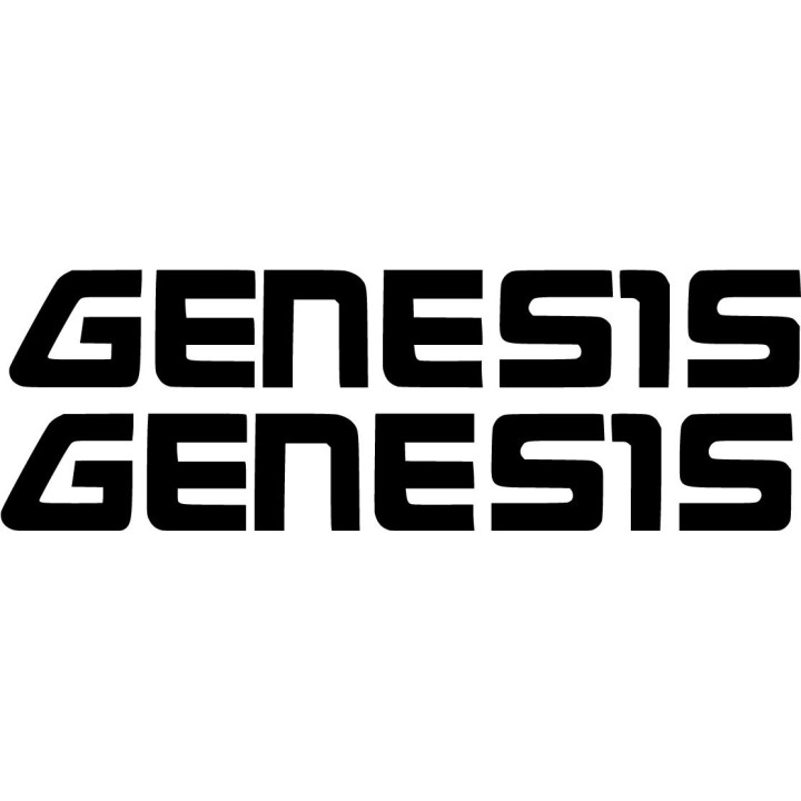 Yamaha Genesis Stickers – FZ1 FZS1000 Fazer Engine Decals (2-Pack)