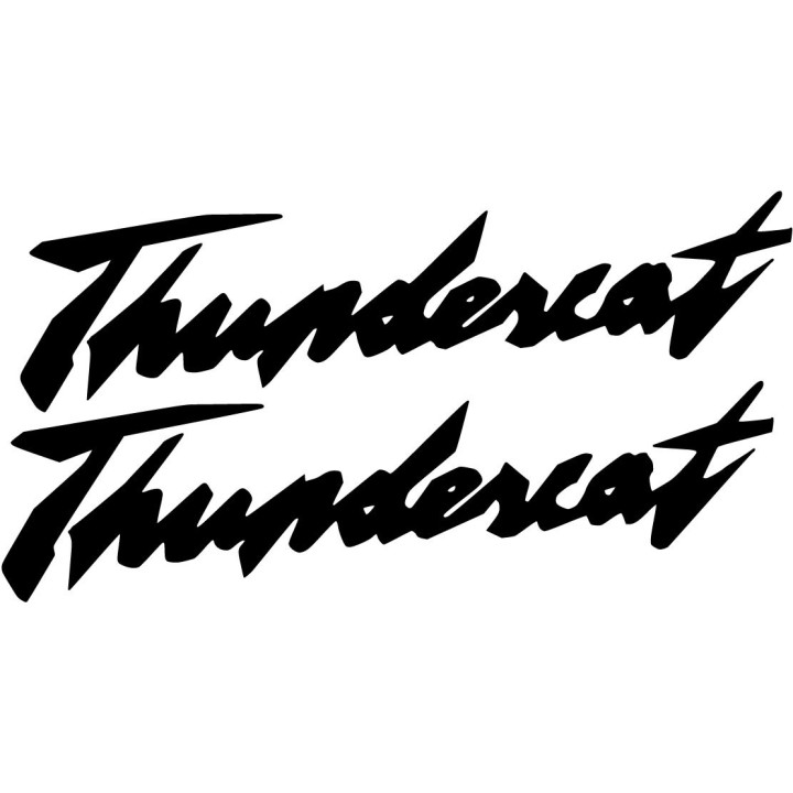Yamaha Yzf 1000 Thunderace Lettering Die Cut Stickers Decals - DecalsHouse