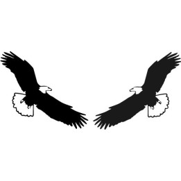 Buy Arend 6 Decal Sticker Online
