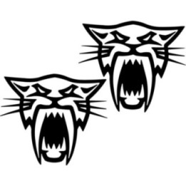 2x Artic Cat Sticker Decal Decal Stickers - DecalsHouse