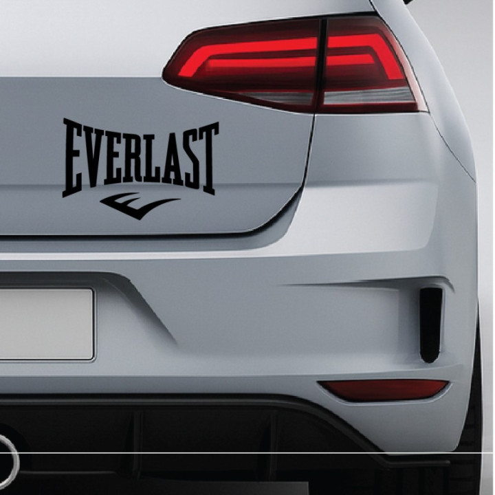 2x Everlast Sticker Decal Decal Stickers - DecalsHouse