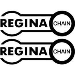 2x Ragina Chain Logo V1 Racing Sticker Decal Decal Stickers - DecalsHouse