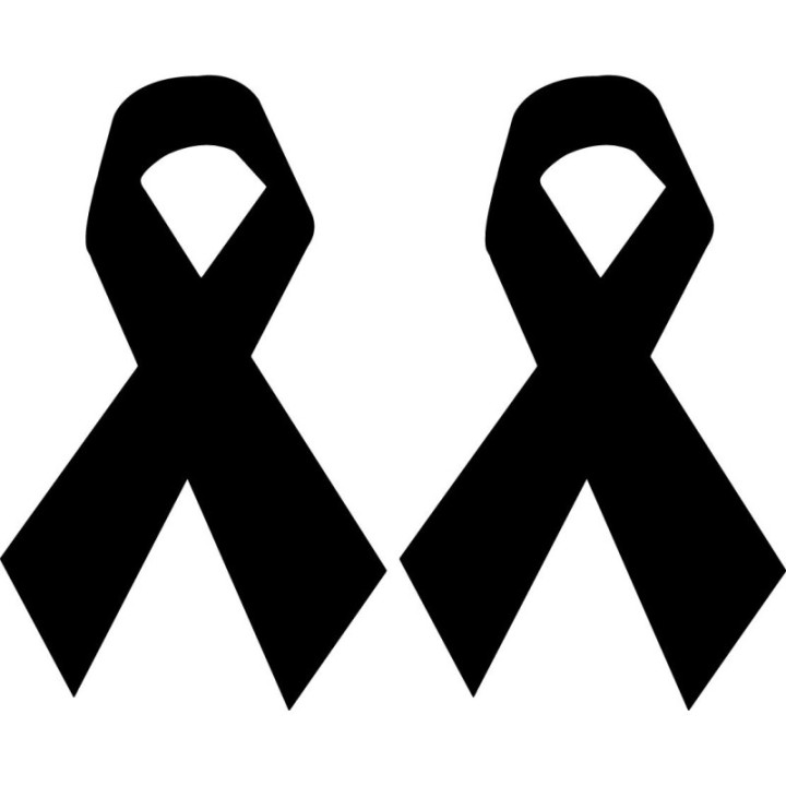 2x Ribbon Logo Sticker Decal Decal Stickers - DecalsHouse