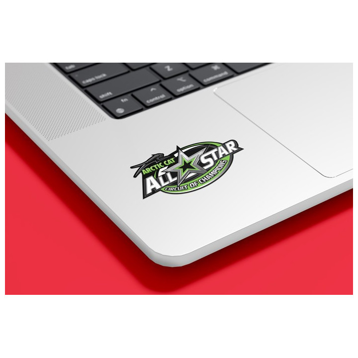Arctic Cat All Star Champion Stickers Decals x2 - DecalsHouse