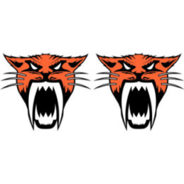 Arctic Cat Head Orange Style 2 Stickers Decals x2 - DecalsHouse
