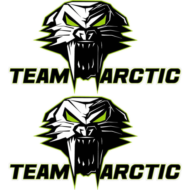 Arctic Cat Head Style 5 Stickers Decals x2 - DecalsHouse
