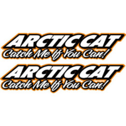 Arctic Cat Orange Lettering Stickers Decals x2 - DecalsHouse