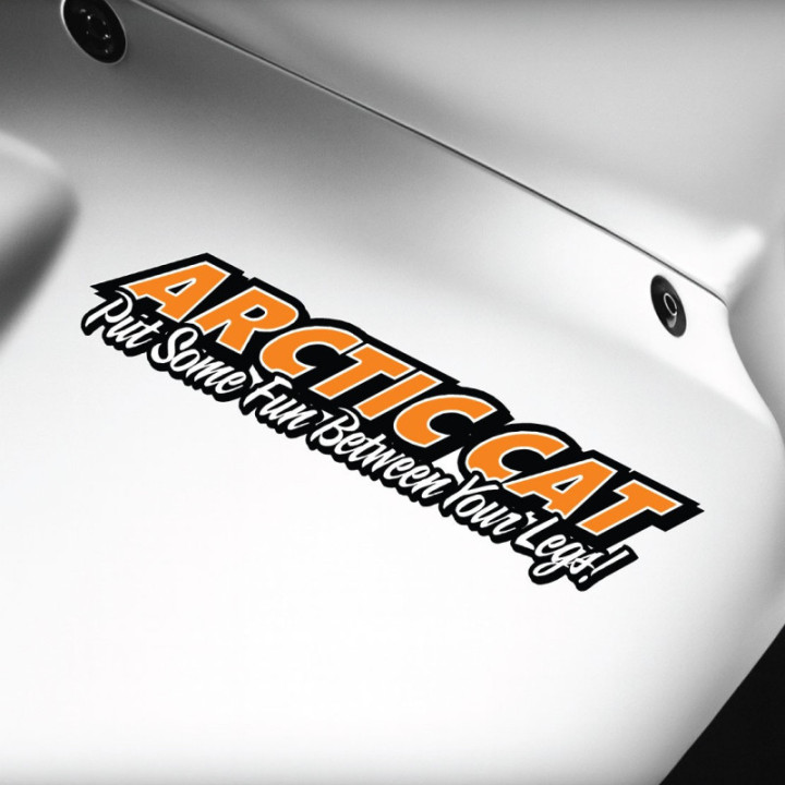 Arctic Cat Put Some Fun Between Your Legs Stickers Decals x2 - DecalsHouse