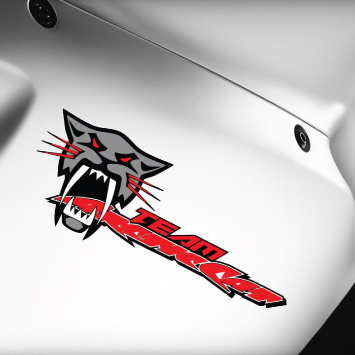 Arctic Cat Team Red Stickers Decals x2 - DecalsHouse