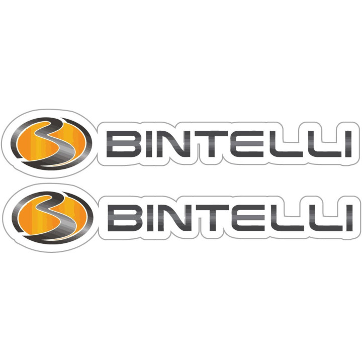 Bintelli Stickers - Electric Scooter Logo Decals (2-Pack)